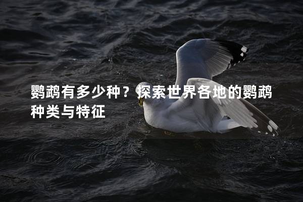 鹦鹉有多少种？探索世界各地的鹦鹉种类与特征