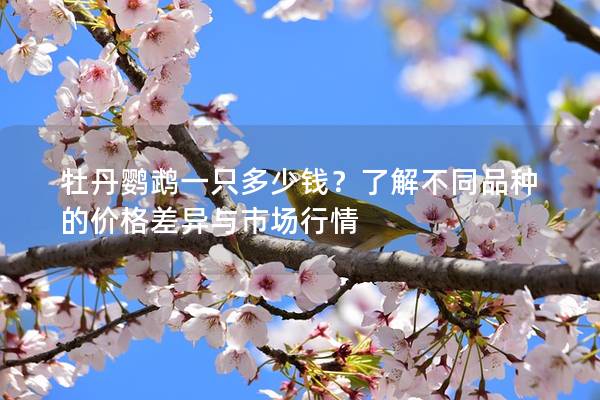 牡丹鹦鹉一只多少钱？了解不同品种的价格差异与市场行情
