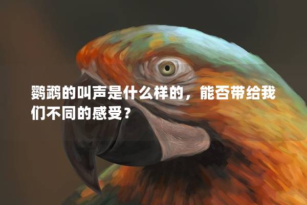 鹦鹉的叫声是什么样的，能否带给我们不同的感受？