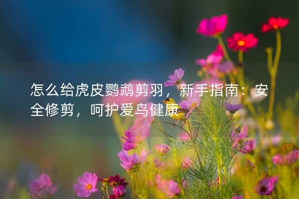 怎么给虎皮鹦鹉剪羽，新手指南：安全修剪，呵护爱鸟健康