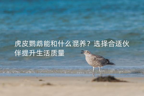 虎皮鹦鹉能和什么混养？选择合适伙伴提升生活质量
