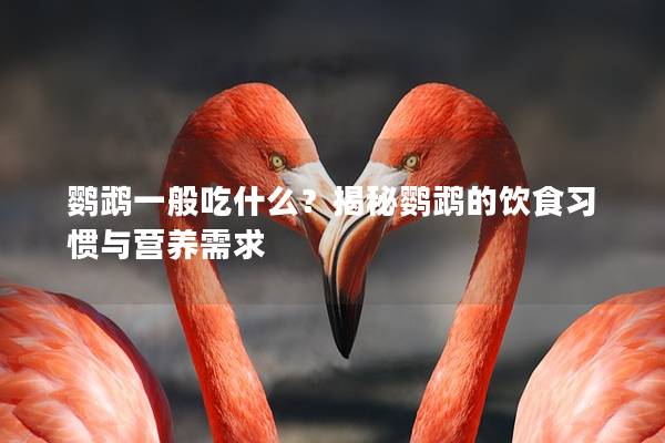 鹦鹉一般吃什么？揭秘鹦鹉的饮食习惯与营养需求