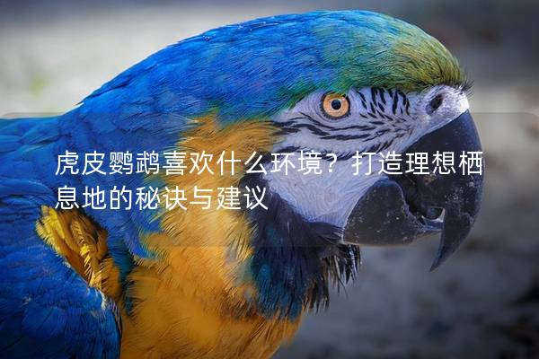虎皮鹦鹉喜欢什么环境？打造理想栖息地的秘诀与建议