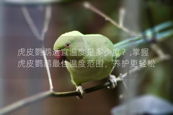 虎皮鹦鹉适宜温度是多少度？,掌握虎皮鹦鹉最佳温度范围，养护更轻松
