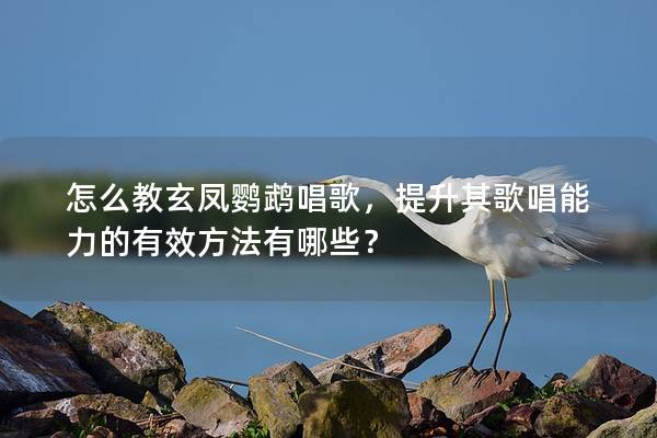 怎么教玄凤鹦鹉唱歌，提升其歌唱能力的有效方法有哪些？