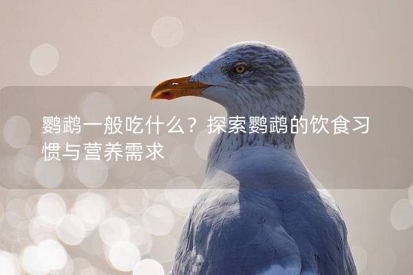 鹦鹉一般吃什么？探索鹦鹉的饮食习惯与营养需求