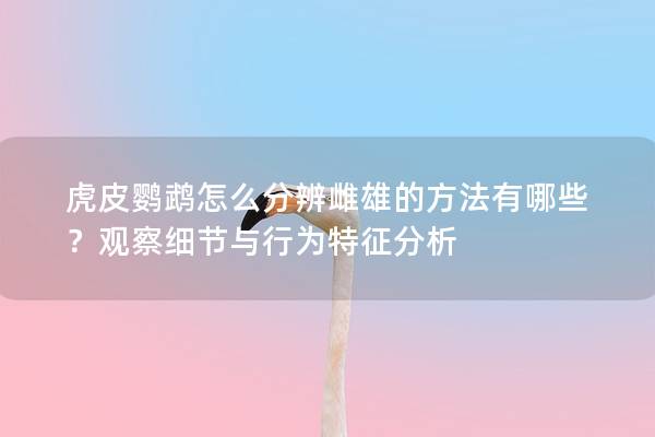 虎皮鹦鹉怎么分辨雌雄的方法有哪些？观察细节与行为特征分析