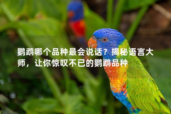 鹦鹉哪个品种最会说话？揭秘语言大师，让你惊叹不已的鹦鹉品种