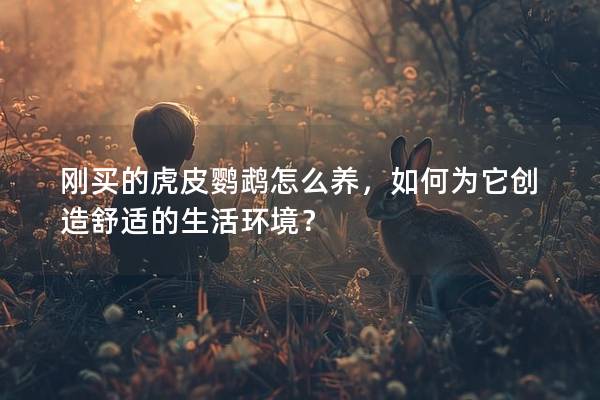 刚买的虎皮鹦鹉怎么养，如何为它创造舒适的生活环境？