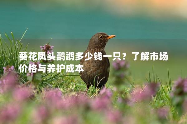 葵花凤头鹦鹉多少钱一只？了解市场价格与养护成本