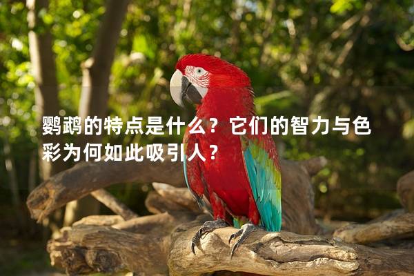 鹦鹉的特点是什么？它们的智力与色彩为何如此吸引人？
