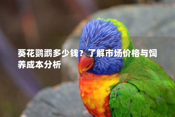 葵花鹦鹉多少钱？了解市场价格与饲养成本分析