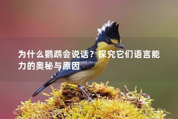 为什么鹦鹉会说话？探究它们语言能力的奥秘与原因