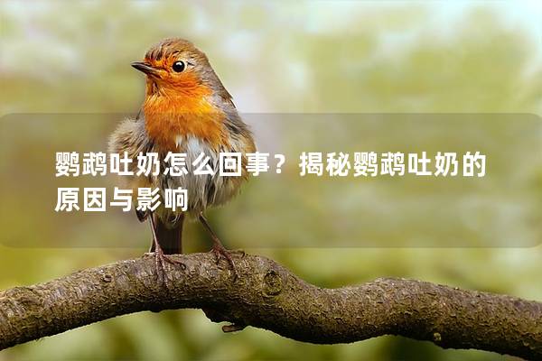 鹦鹉吐奶怎么回事？揭秘鹦鹉吐奶的原因与影响