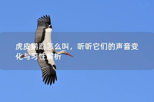 虎皮鹦鹉怎么叫，听听它们的声音变化与习性解析