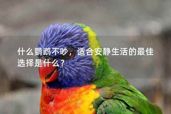 什么鹦鹉不吵，适合安静生活的最佳选择是什么？