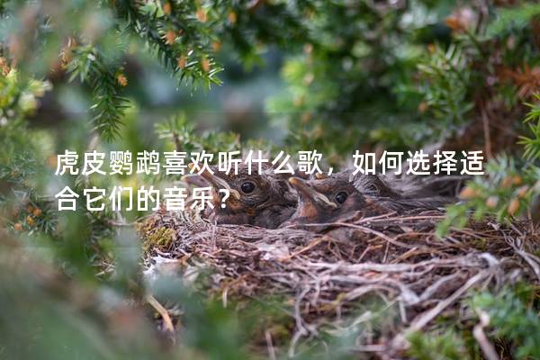 虎皮鹦鹉喜欢听什么歌，如何选择适合它们的音乐？