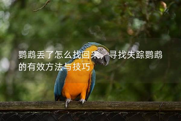 鹦鹉丢了怎么找回来，寻找失踪鹦鹉的有效方法与技巧