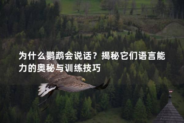 为什么鹦鹉会说话？揭秘它们语言能力的奥秘与训练技巧