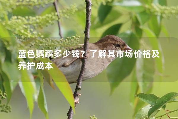 蓝色鹦鹉多少钱？了解其市场价格及养护成本