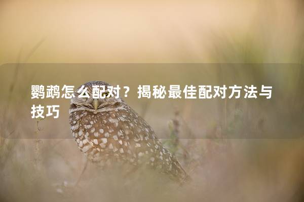 鹦鹉怎么配对？揭秘最佳配对方法与技巧