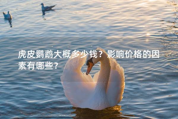 虎皮鹦鹉大概多少钱？影响价格的因素有哪些？