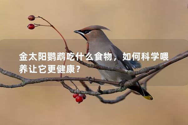 金太阳鹦鹉吃什么食物，如何科学喂养让它更健康？