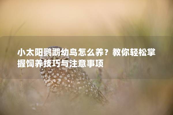 小太阳鹦鹉幼鸟怎么养？教你轻松掌握饲养技巧与注意事项