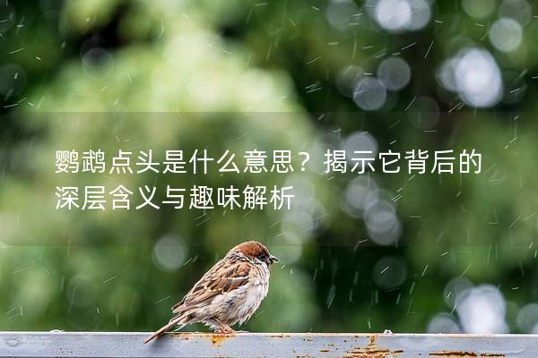 鹦鹉点头是什么意思？揭示它背后的深层含义与趣味解析