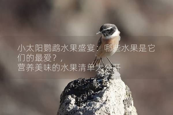 小太阳鹦鹉水果盛宴：哪些水果是它们的最爱？, 营养美味的水果清单大公开