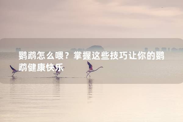 鹦鹉怎么喂？掌握这些技巧让你的鹦鹉健康快乐