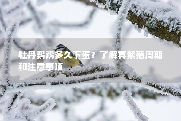 牡丹鹦鹉多久下蛋？了解其繁殖周期和注意事项
