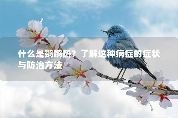什么是鹦鹉热？了解这种病症的症状与防治方法