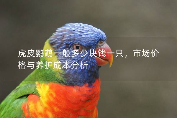 虎皮鹦鹉一般多少块钱一只，市场价格与养护成本分析