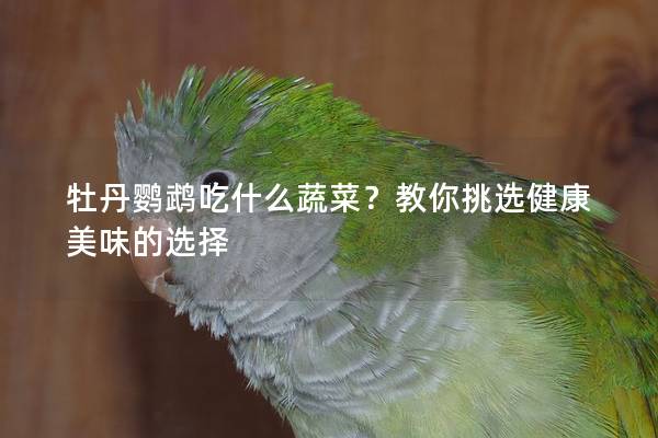 牡丹鹦鹉吃什么蔬菜？教你挑选健康美味的选择