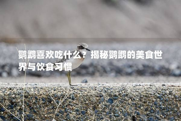 鹦鹉喜欢吃什么？揭秘鹦鹉的美食世界与饮食习惯