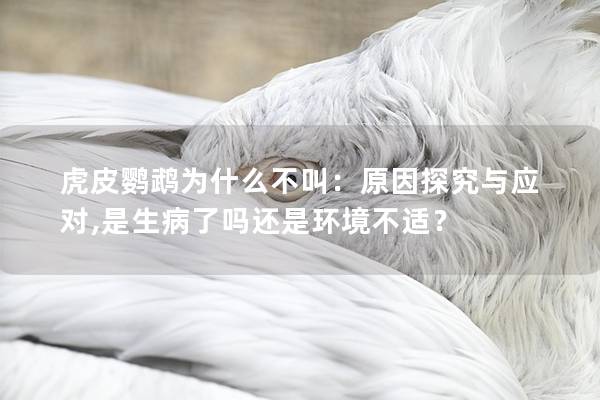 虎皮鹦鹉为什么不叫：原因探究与应对,是生病了吗还是环境不适？
