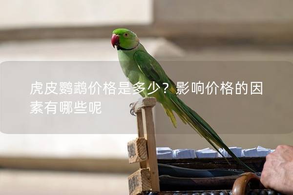 虎皮鹦鹉价格是多少？影响价格的因素有哪些呢