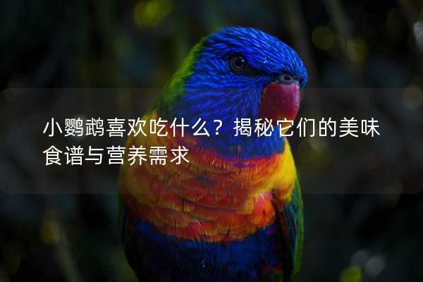小鹦鹉喜欢吃什么？揭秘它们的美味食谱与营养需求