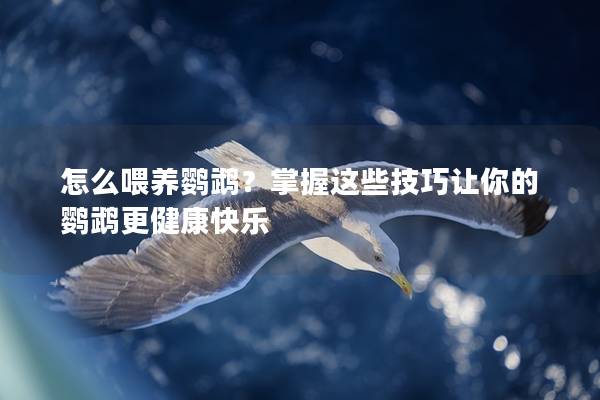 怎么喂养鹦鹉？掌握这些技巧让你的鹦鹉更健康快乐