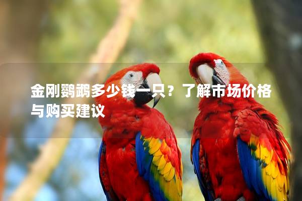 金刚鹦鹉多少钱一只？了解市场价格与购买建议