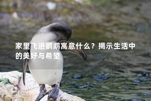 家里飞进鹦鹉寓意什么？揭示生活中的美好与希望