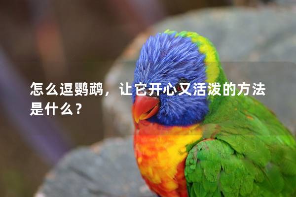 怎么逗鹦鹉，让它开心又活泼的方法是什么？