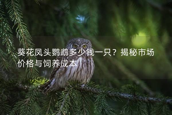 葵花凤头鹦鹉多少钱一只？揭秘市场价格与饲养成本