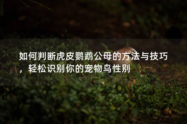 如何判断虎皮鹦鹉公母的方法与技巧，轻松识别你的宠物鸟性别