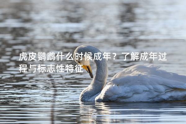 虎皮鹦鹉什么时候成年？了解成年过程与标志性特征