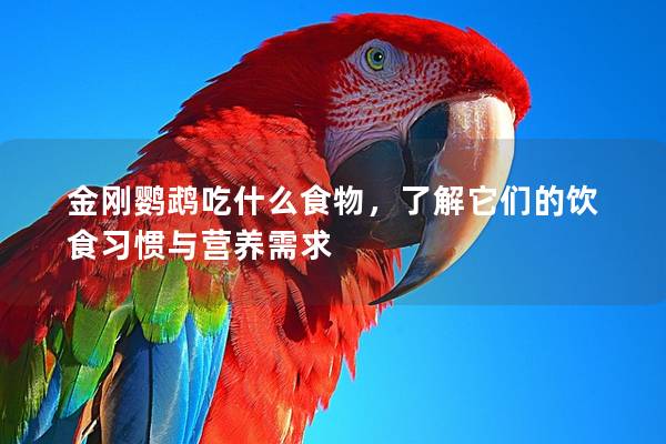 金刚鹦鹉吃什么食物，了解它们的饮食习惯与营养需求