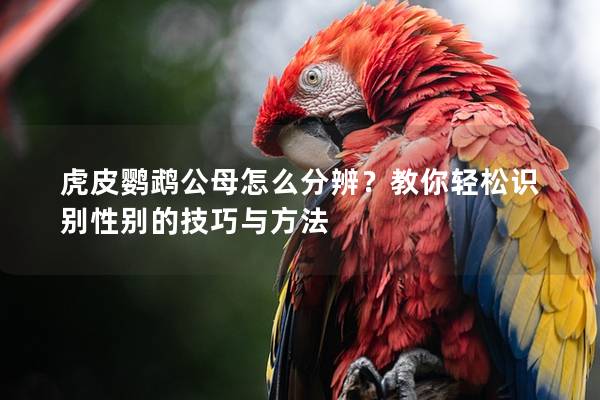 虎皮鹦鹉公母怎么分辨？教你轻松识别性别的技巧与方法
