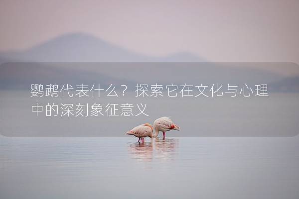 鹦鹉代表什么？探索它在文化与心理中的深刻象征意义