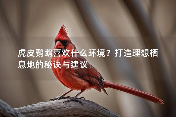 虎皮鹦鹉喜欢什么环境？打造理想栖息地的秘诀与建议